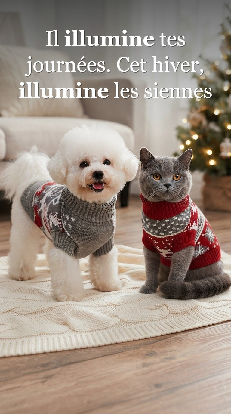Il illumine tes journées. Cet hiver, illumine les siennes - Pull de Noël pour chien et chat Coussinou