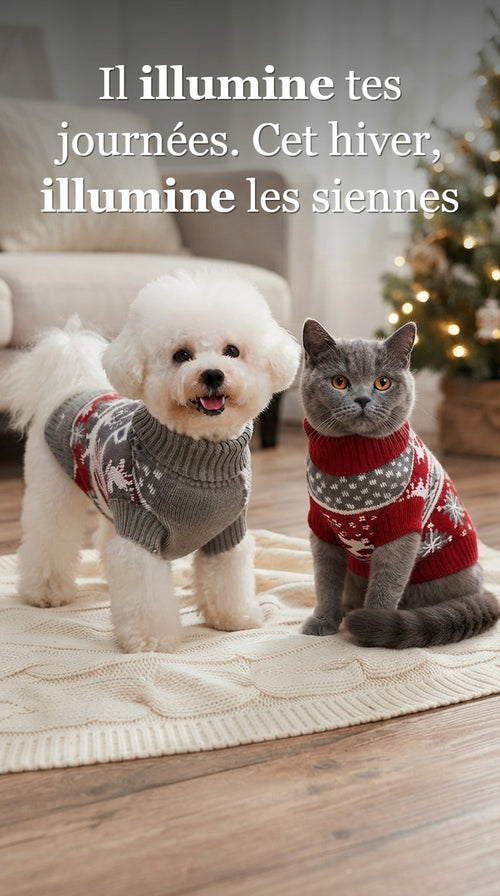 Il illumine tes journées. Cet hiver, illumine les siennes - Pull de Noël pour chien et chat Coussinou