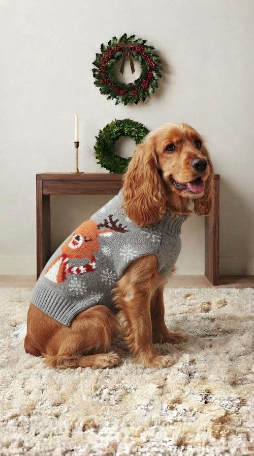 Pull de Noël en tricot pour chien et chat Coussinou – photo 2